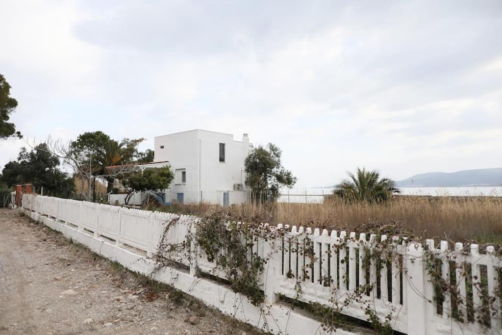 فيلا Yfn Urla Seaside House Balikliova المظهر الخارجي الصورة